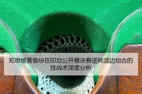 zheng-si-wei-huang-ya-qiong-zai-yin-ni-gong-kai-sai-jue-sai-ni-zhuan-du-bian-zu-he-de-ji-zhan-shu-shen-du-fen-xi-2-210.jpg